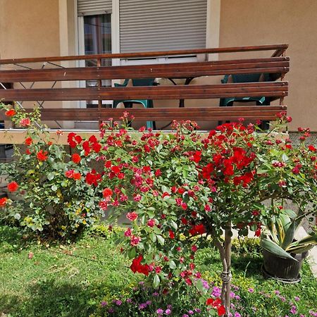 Guesthouse Irac ทูซลา ภายนอก รูปภาพ