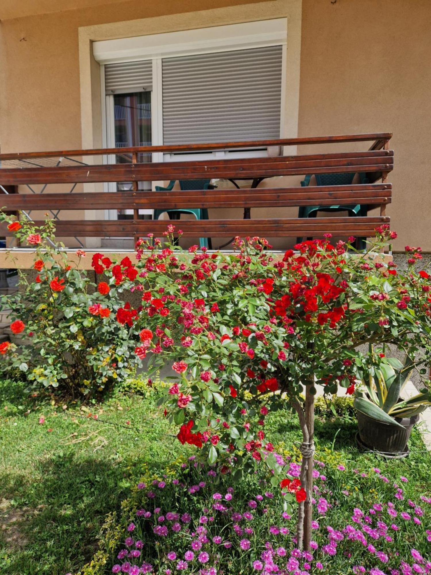 Guesthouse Irac ทูซลา ภายนอก รูปภาพ